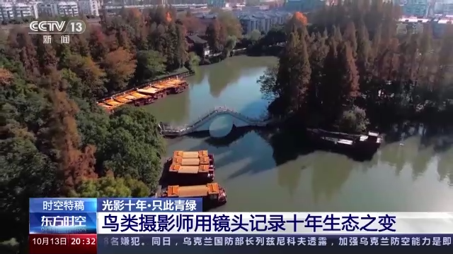 光影十年·只此青绿丨鸟类摄影师用镜头记录十年生态之变