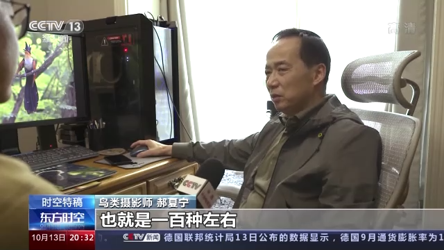 光影十年·只此青绿丨鸟类摄影师用镜头记录十年生态之变