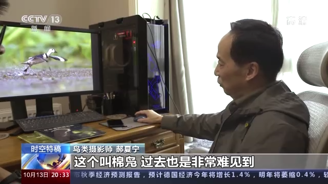 光影十年·只此青绿丨鸟类摄影师用镜头记录十年生态之变