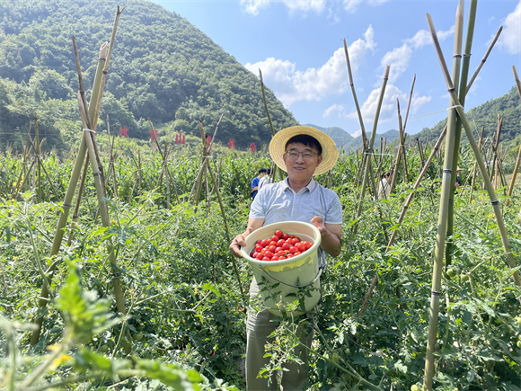 我看家乡新变化丨巫山石院村：蔬菜销往大城市 康养留下外来客