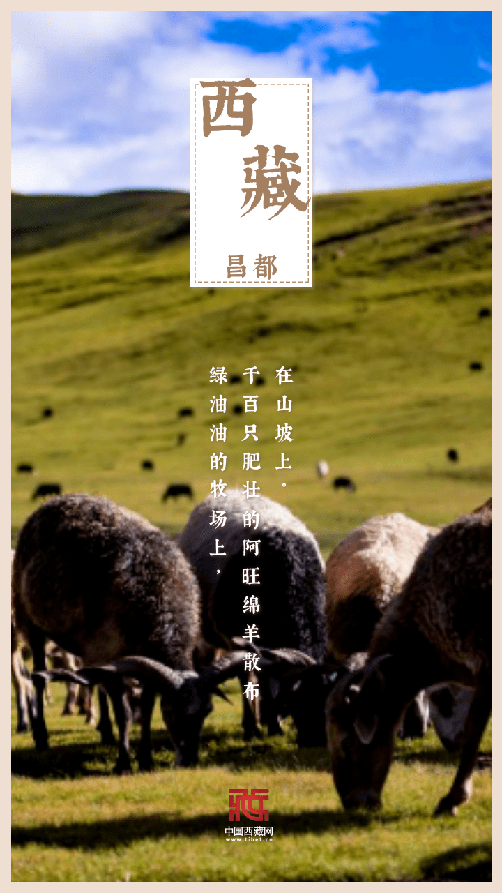 海报｜金秋西藏，又是一年好“丰”景