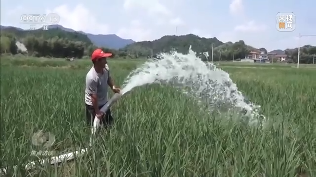 焦点访谈丨秋收时节好“丰”景