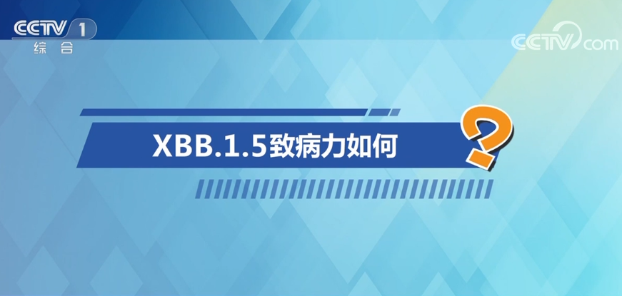 中国疾控中心专家释疑XBB毒株 回应公众五大关切问题