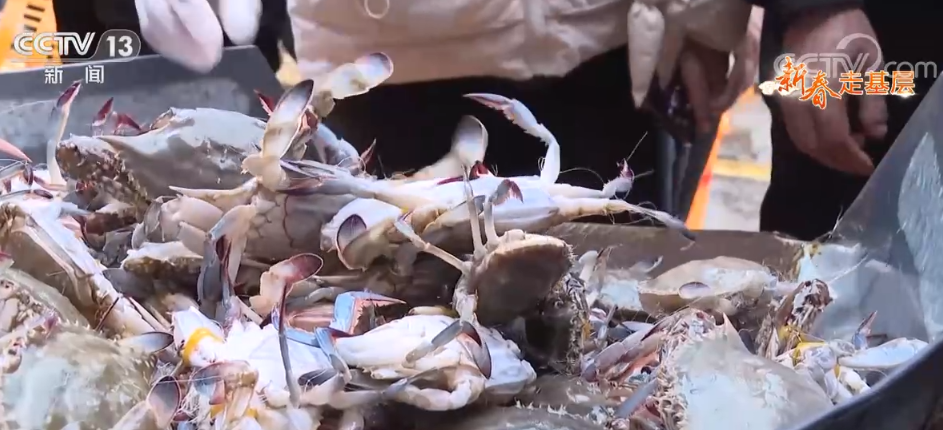 過年｜大市場里趕年味 向著夢想拼幸福