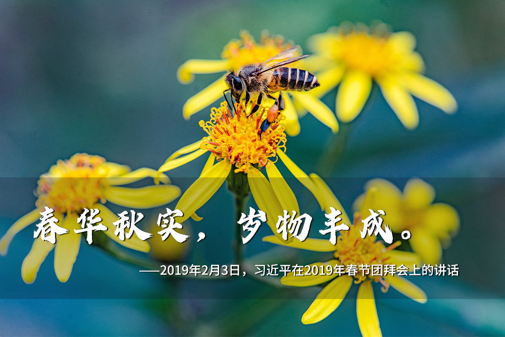 联播+｜一年之计在于春 跟着总书记奋进新征程