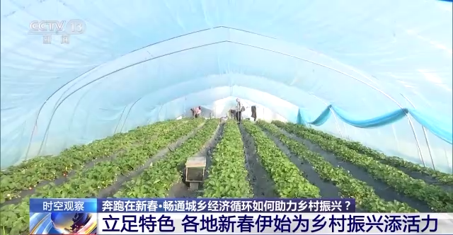 畅通城乡经济循环如何助力乡村振兴？答案看这里→