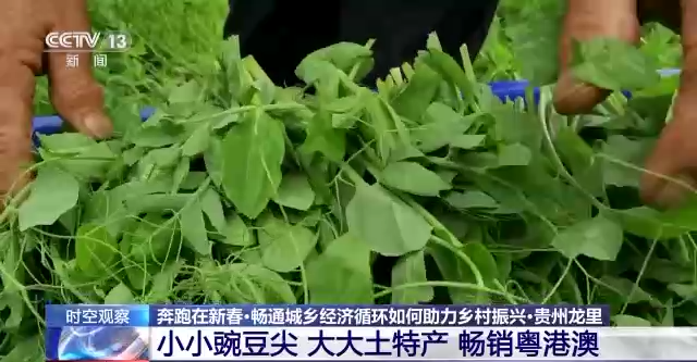 畅通城乡经济循环如何助力乡村振兴？答案看这里→