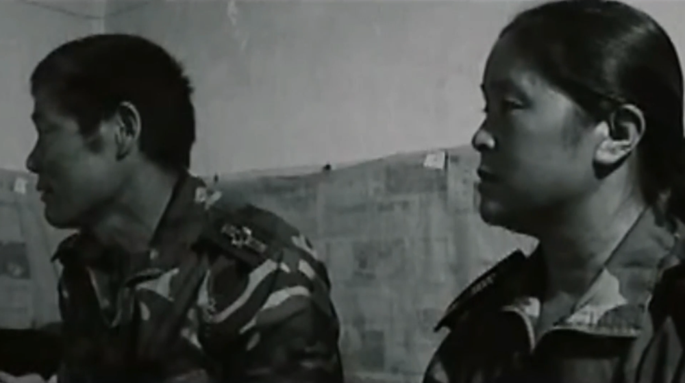 开山岛树种“游”太空