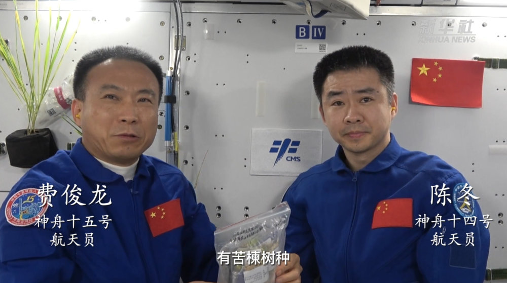 开山岛树种“游”太空