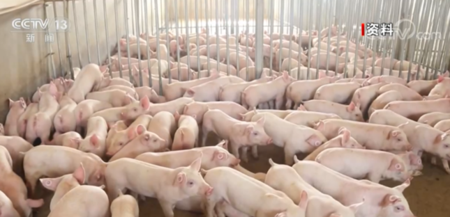 国家发展改革委开展今年第一批中央冻猪肉储备收储工作