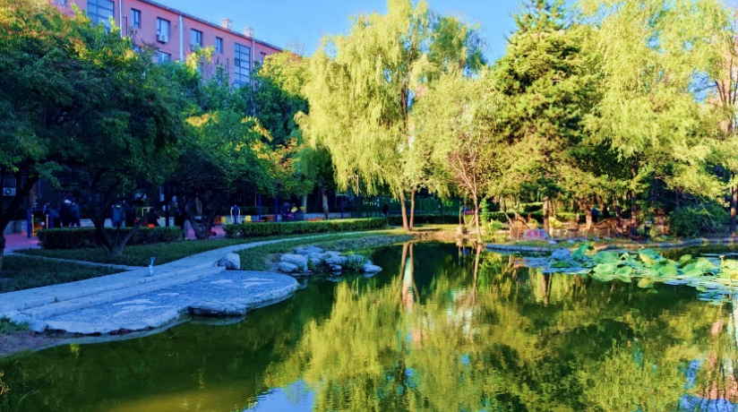 以政治优势提升治理效能——北京城市副中心责师党建创新助力副中心高质量发展实践