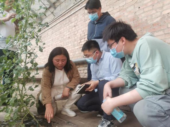 以政治优势提升治理效能——北京城市副中心责师党建创新助力副中心高质量发展实践