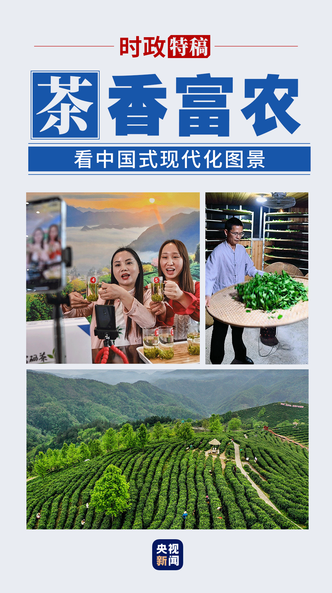 看中国式现代化图景丨茶香富农