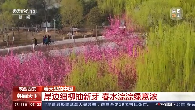 春天里的中国丨春光正好 生机萌动