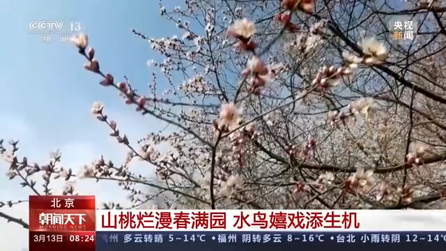 春天里的中国丨春光正好 生机萌动