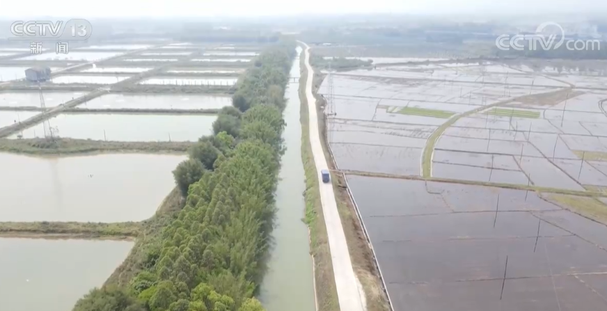 提高水分利用率 广东各地多措并举确保粮食生产