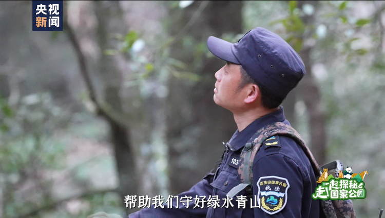 走！一起探秘国家公园丨人在草木间