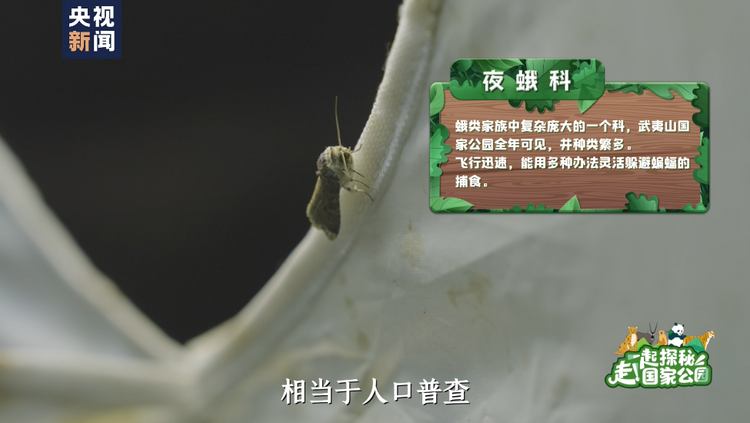 走！一起探秘国家公园丨人在草木间