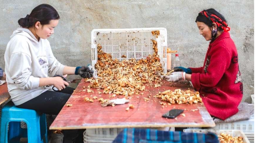 一川烟雨入画来|“悬崖江城”,大美雅江