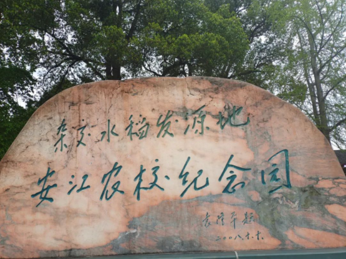 好评中国｜为什么会走进安江农校？