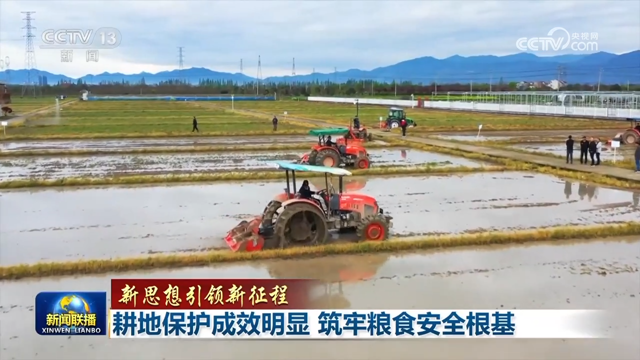 【新思想引领新征程】耕地保护成效明显 筑牢粮食安全根基