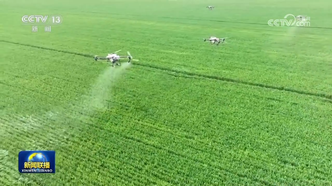 【新思想引领新征程】耕地保护成效明显 筑牢粮食安全根基
