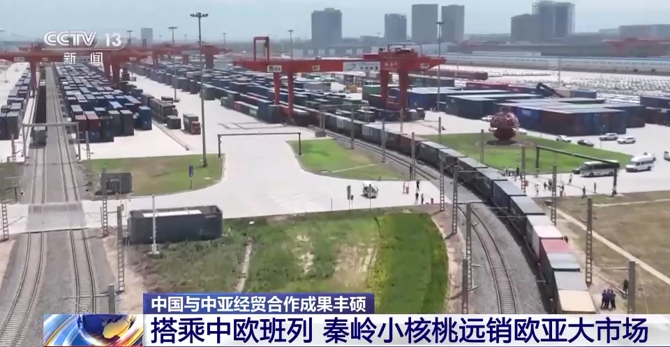 中国与中亚经贸合作成果丰硕 “中国造”搭乘中欧班列开启西行之路