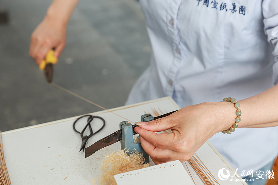 翩翩捞纸舞 阵阵宣纸香