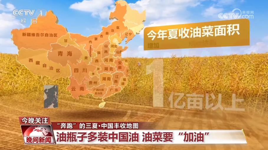 “奔跑”的三夏·中国丰收地图