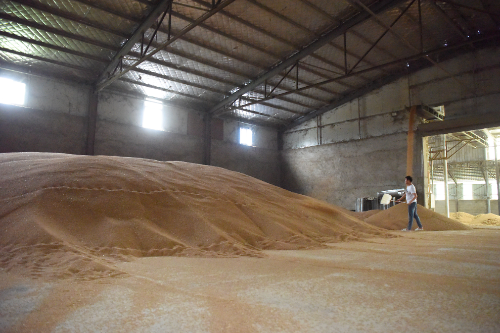 多地积极采取各种措施保障麦收