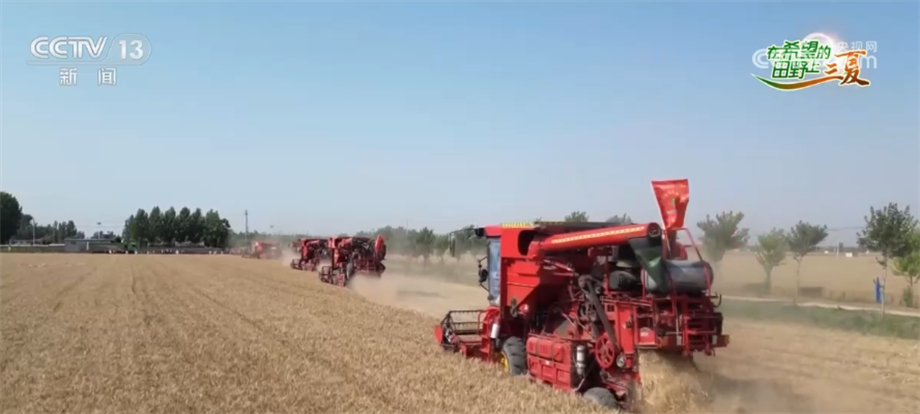 机械助力小麦抢收 科技显著提升作业效率
