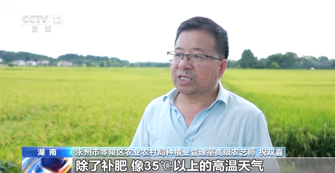 当农业生产遇到极端天气 如何做好田间管理？