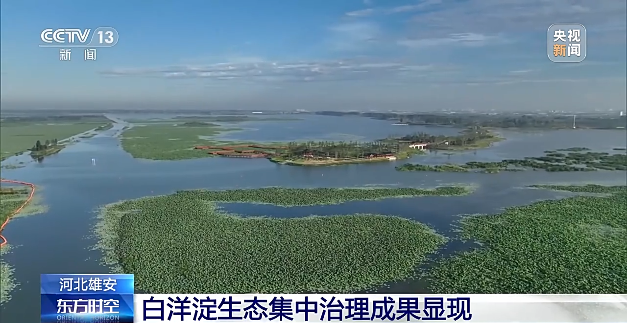 “在这个环境里骑行，舒服” 白洋淀，整挺好啊！