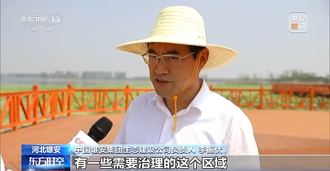 “在这个环境里骑行，舒服” 白洋淀，整挺好啊！