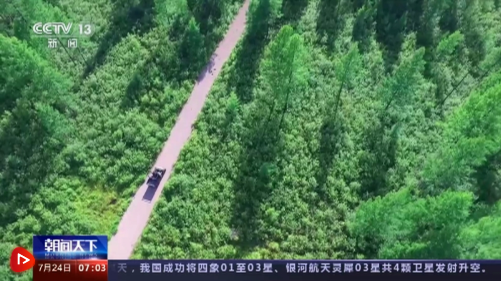 全国森林资源管理“一张图” 多手段提升数据精准化库监测