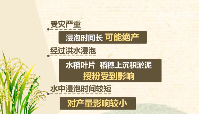 透过数据看真相：五常大米受灾严重吗？是否会给餐桌带来影响？