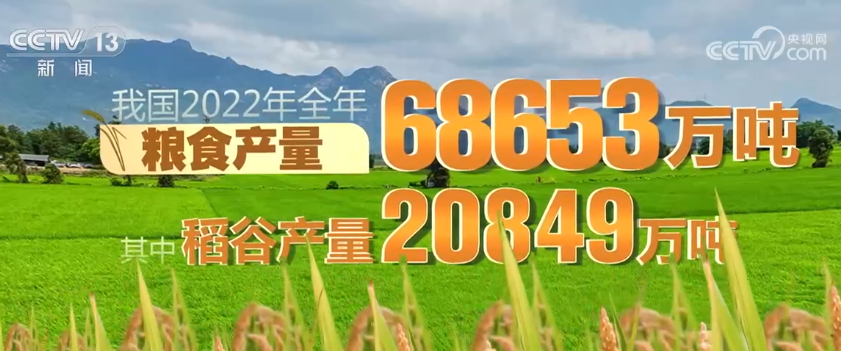 透过数据看真相：五常大米受灾严重吗？是否会给餐桌带来影响？