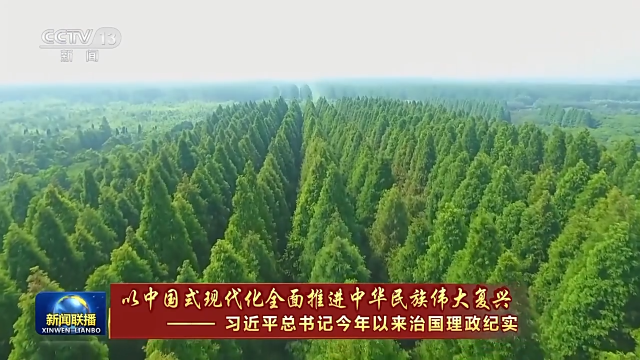 一草一木 念兹在兹 我们用绿色绘出美丽中国更新画卷
