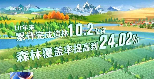 我国“净土保卫战”有哪些新成效？一组数据带你看