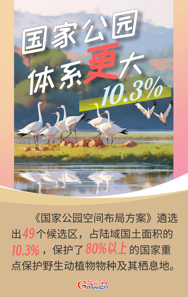 海报丨【AI看生态】美丽中国会“更”好