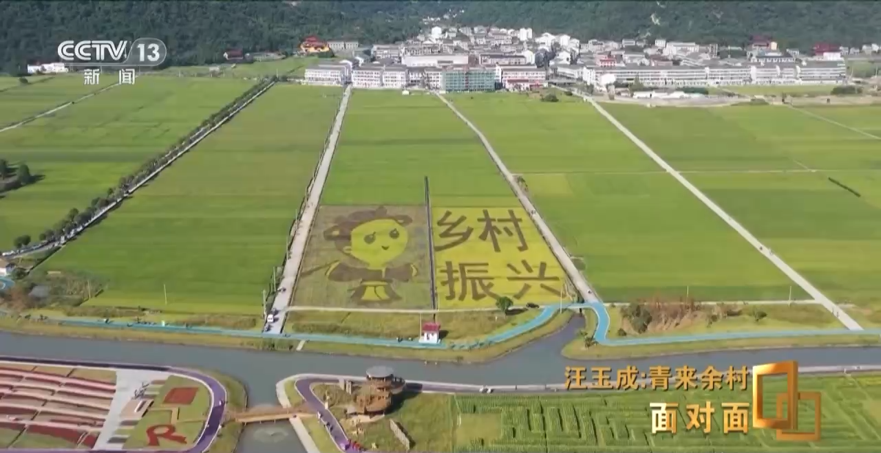 面对面｜留住了“绿”，迎来了“青” 这个小乡村究竟有何魅力？