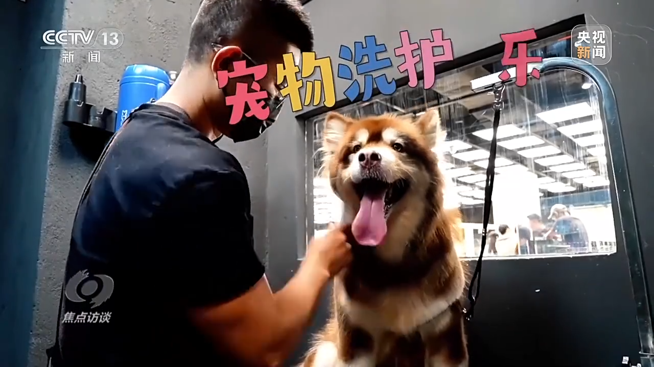 “商场”消费花样多 点燃暑期“热经济”
