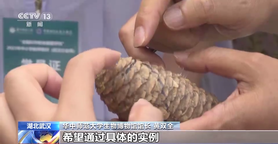 为了让孩子们上好科学课 教师们暑期忙“充电”