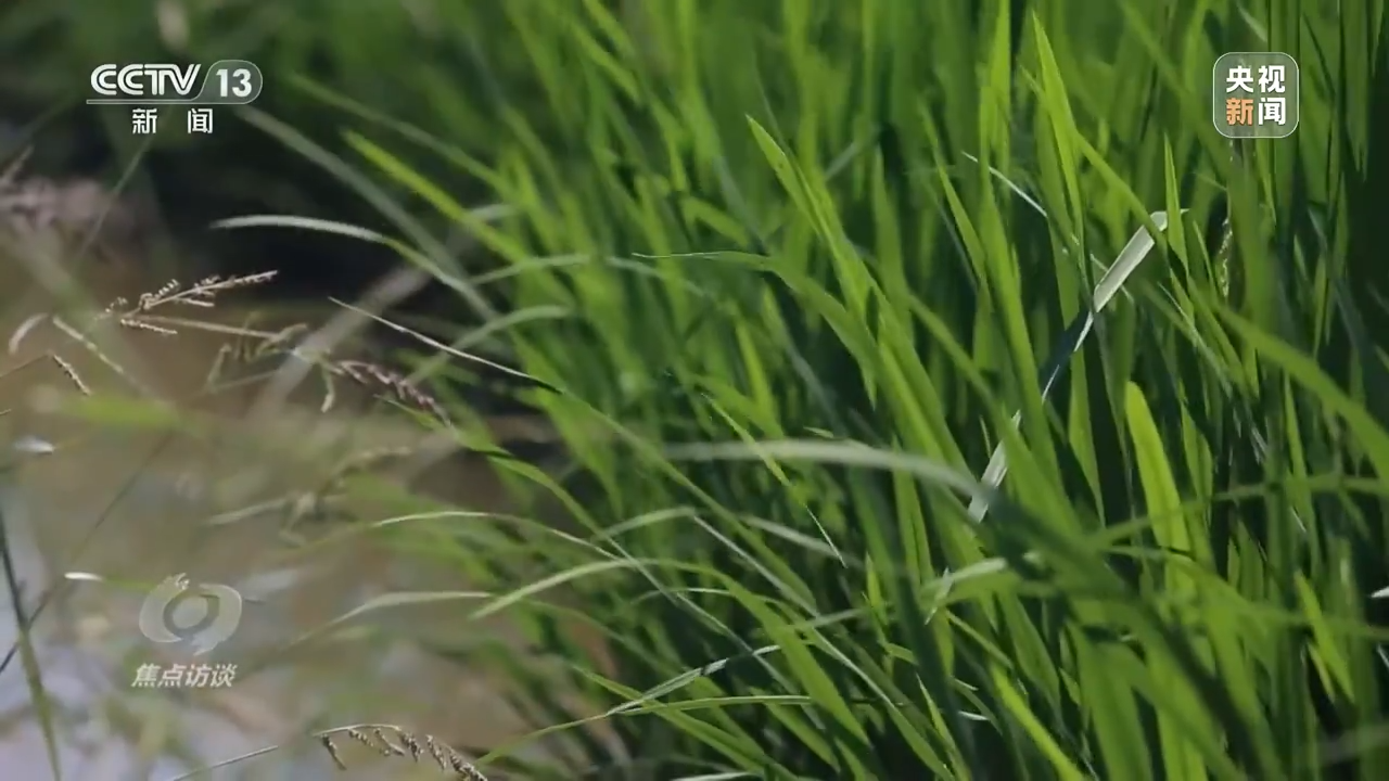 焦点访谈丨数字赋能活水来