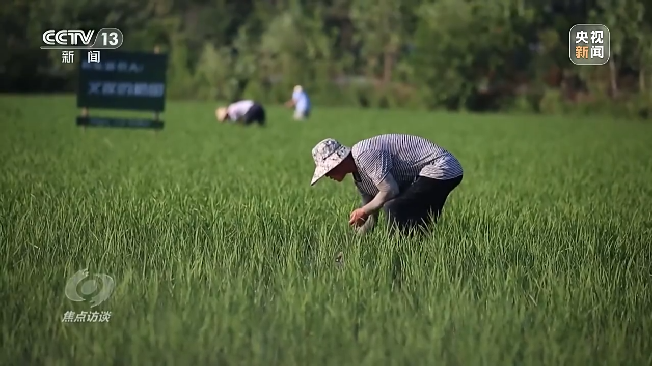 焦点访谈丨数字赋能活水来