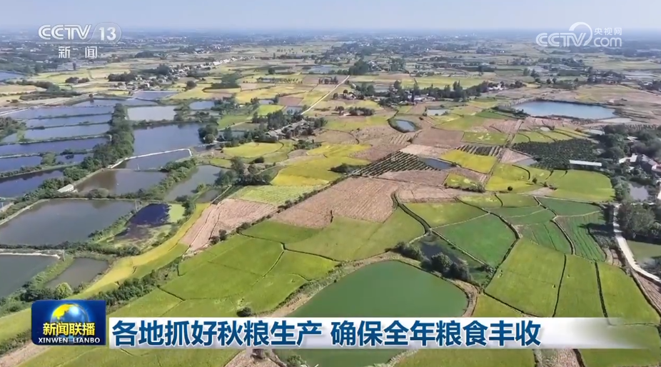 雷火电竞 雷火电竞网站各地抓好秋粮生产 确保全年粮食丰收(图1)