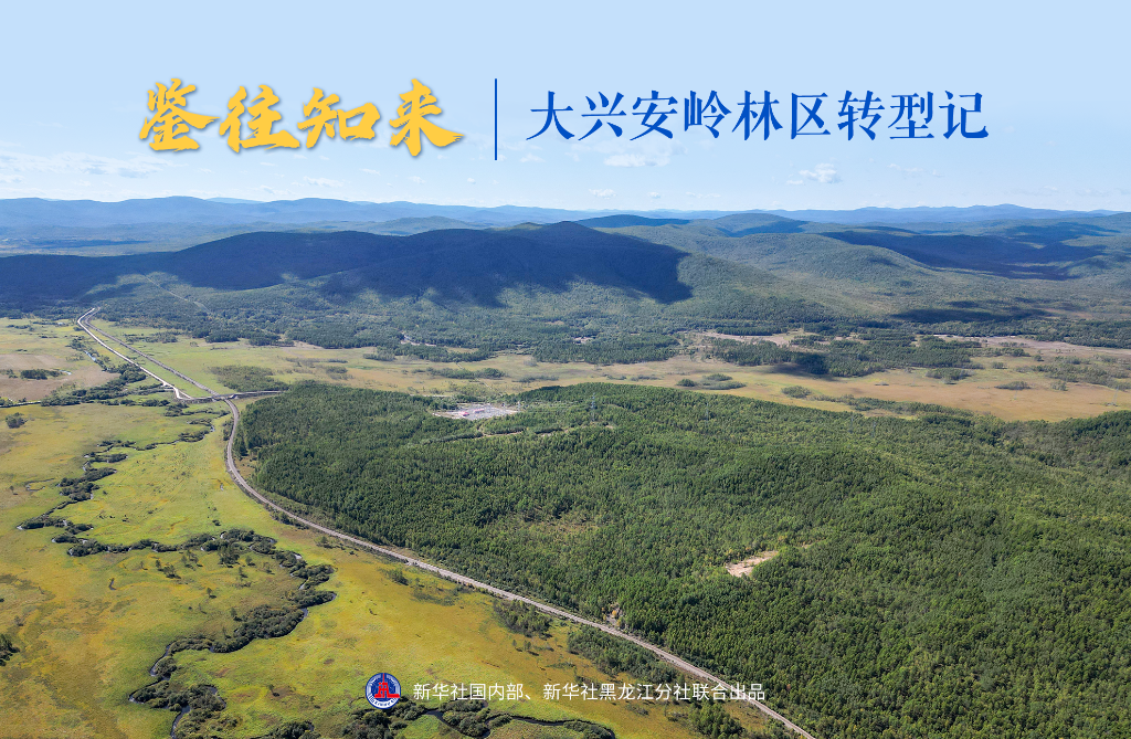 鉴往知来丨大兴安岭林区转型记
