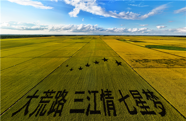 时政微观察丨东北全面振兴的“天时地利人和”