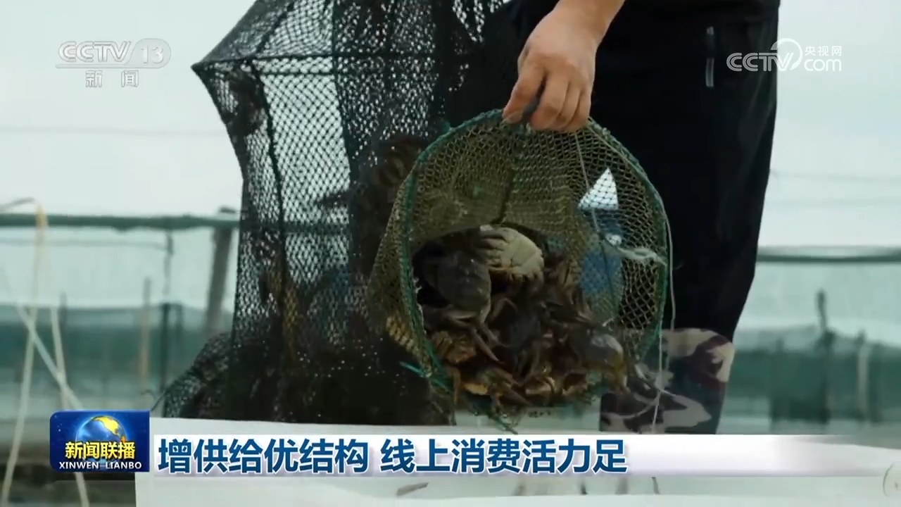 增供给优结构 线上消费活力足