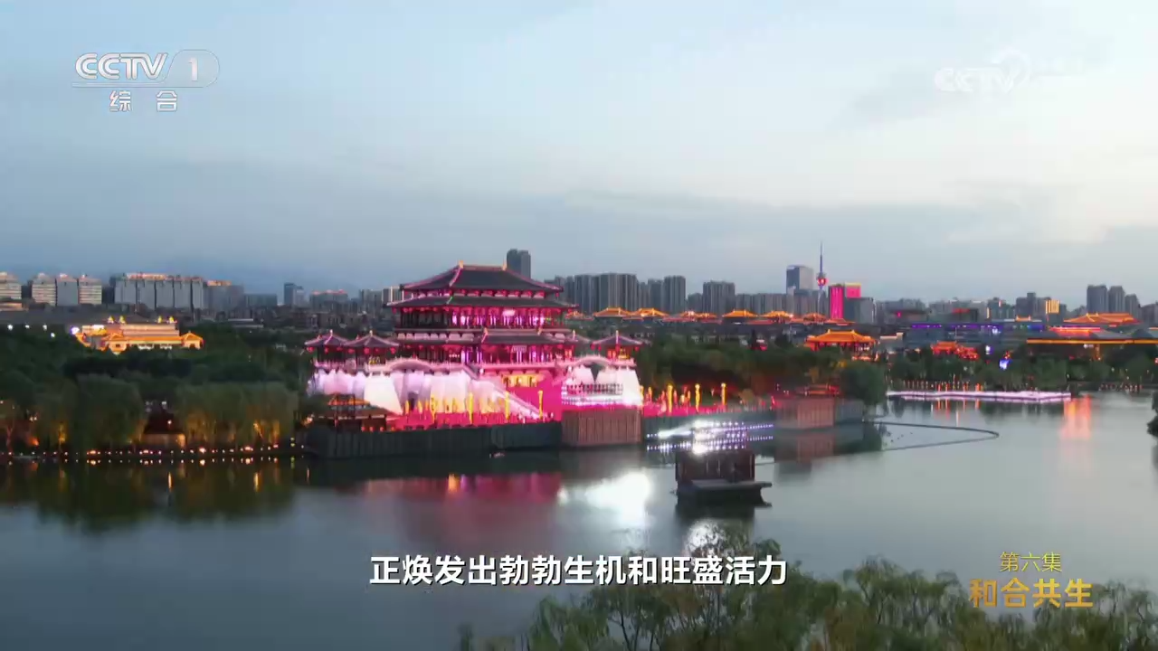 共建“一带一路”倡议十周年大型纪录片《通向繁荣之路》第六集《和合共生》